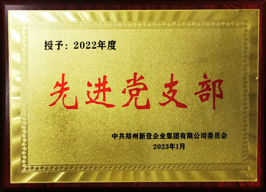 公司黨支部獲評“2022年度先進黨支部”